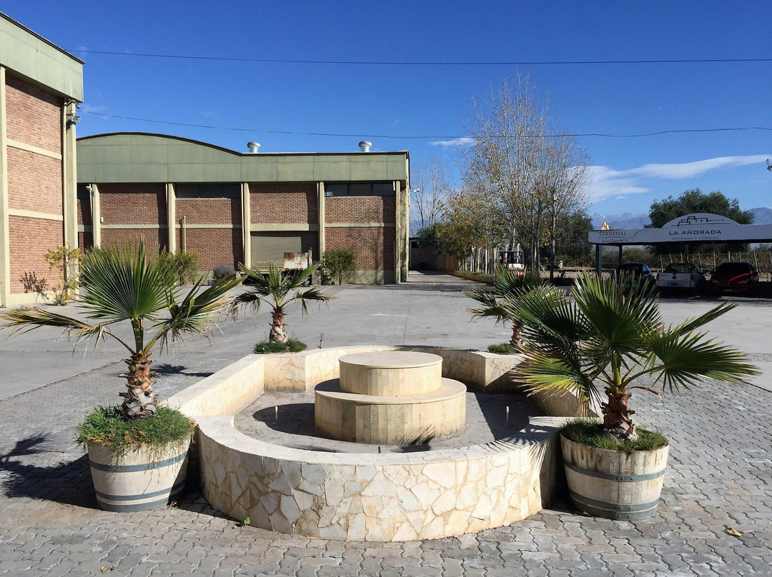 La Añorada Bodega y Viñedos