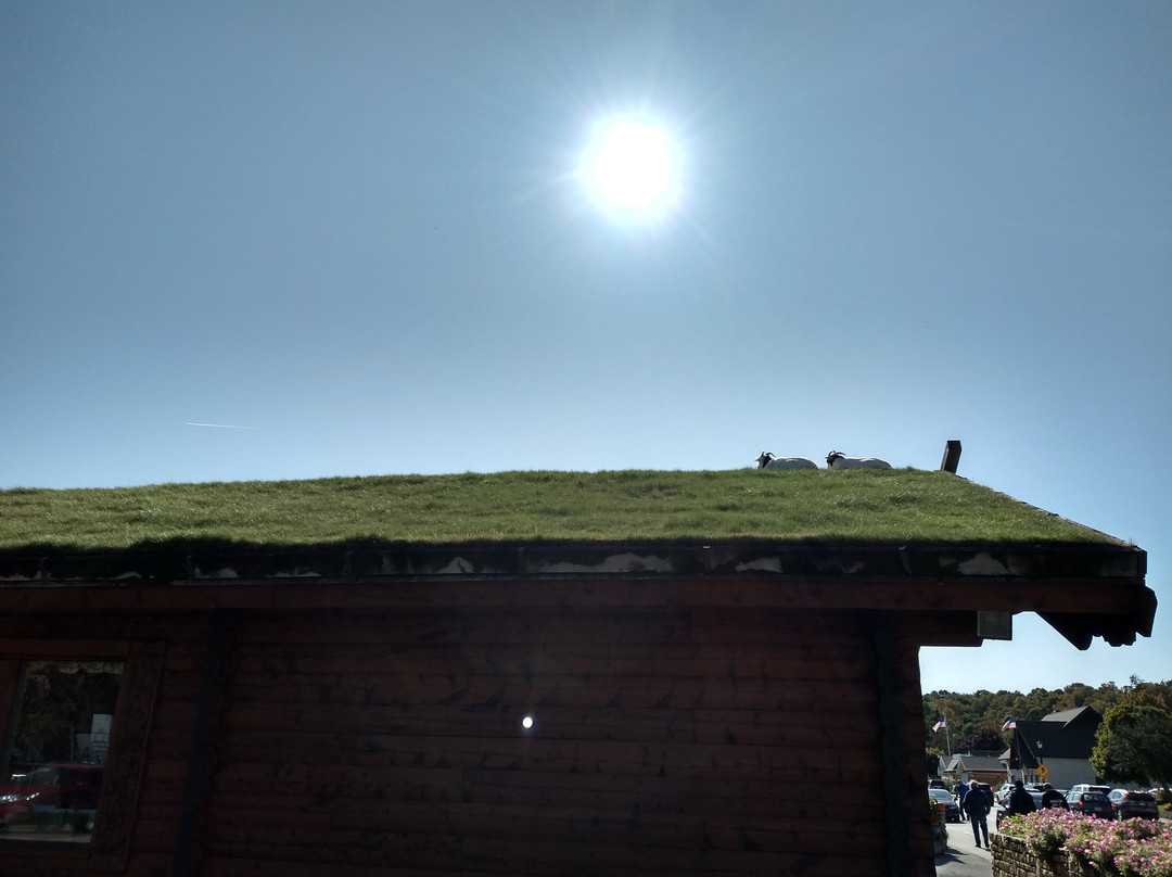 Al Johnson's Swedish Restaurant & Butik-锡斯特贝必去景点