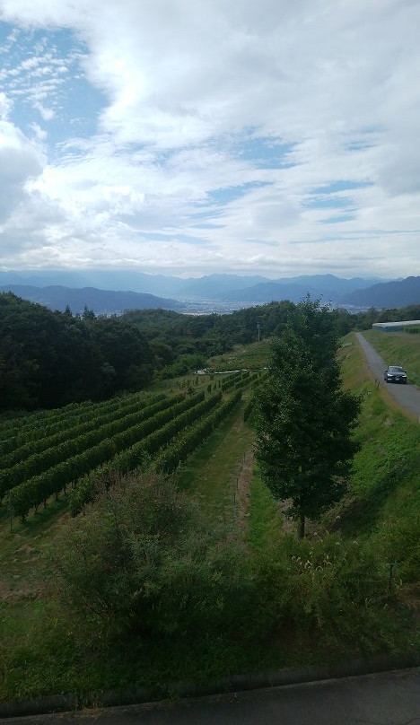 Villa d'Est Garden Farm and Winery-东御市必去景点
