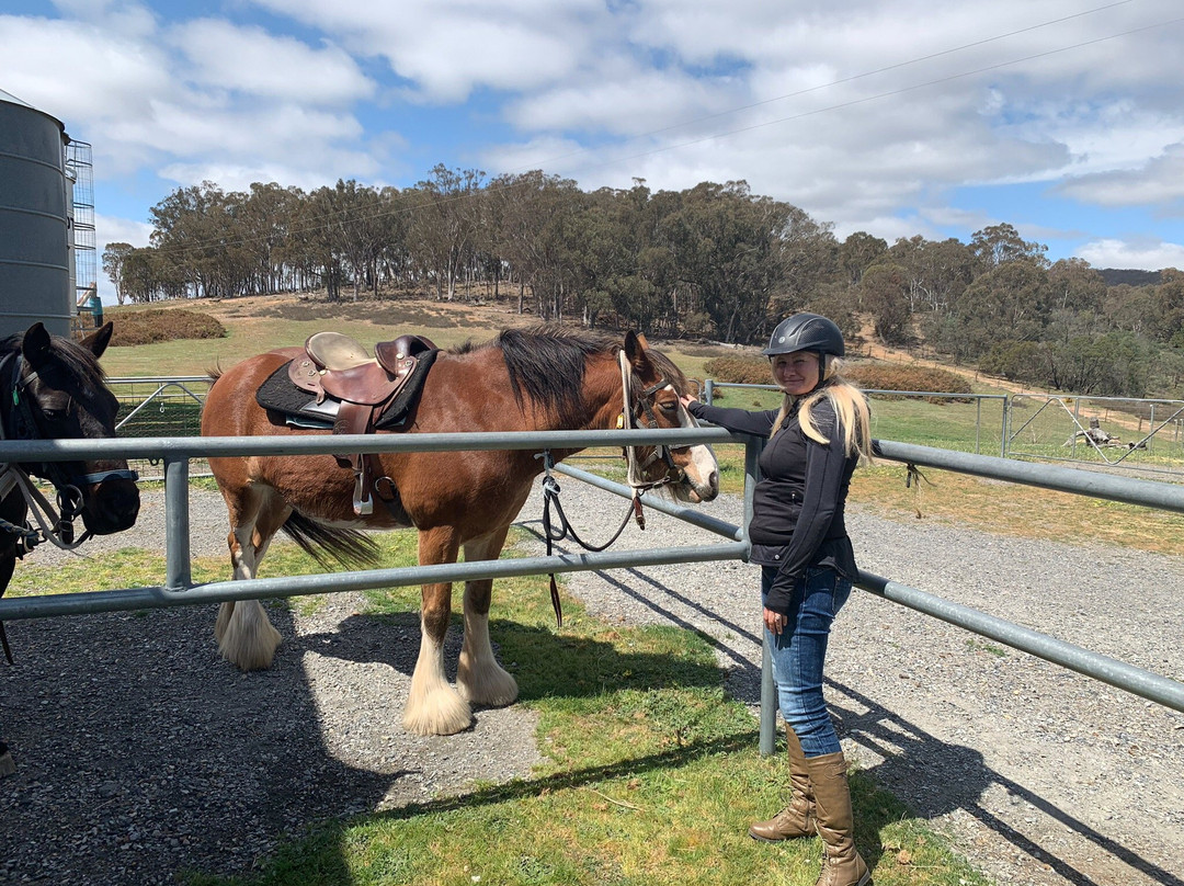Burnelee Excursions on Horseback-穆任百特曼必去景点