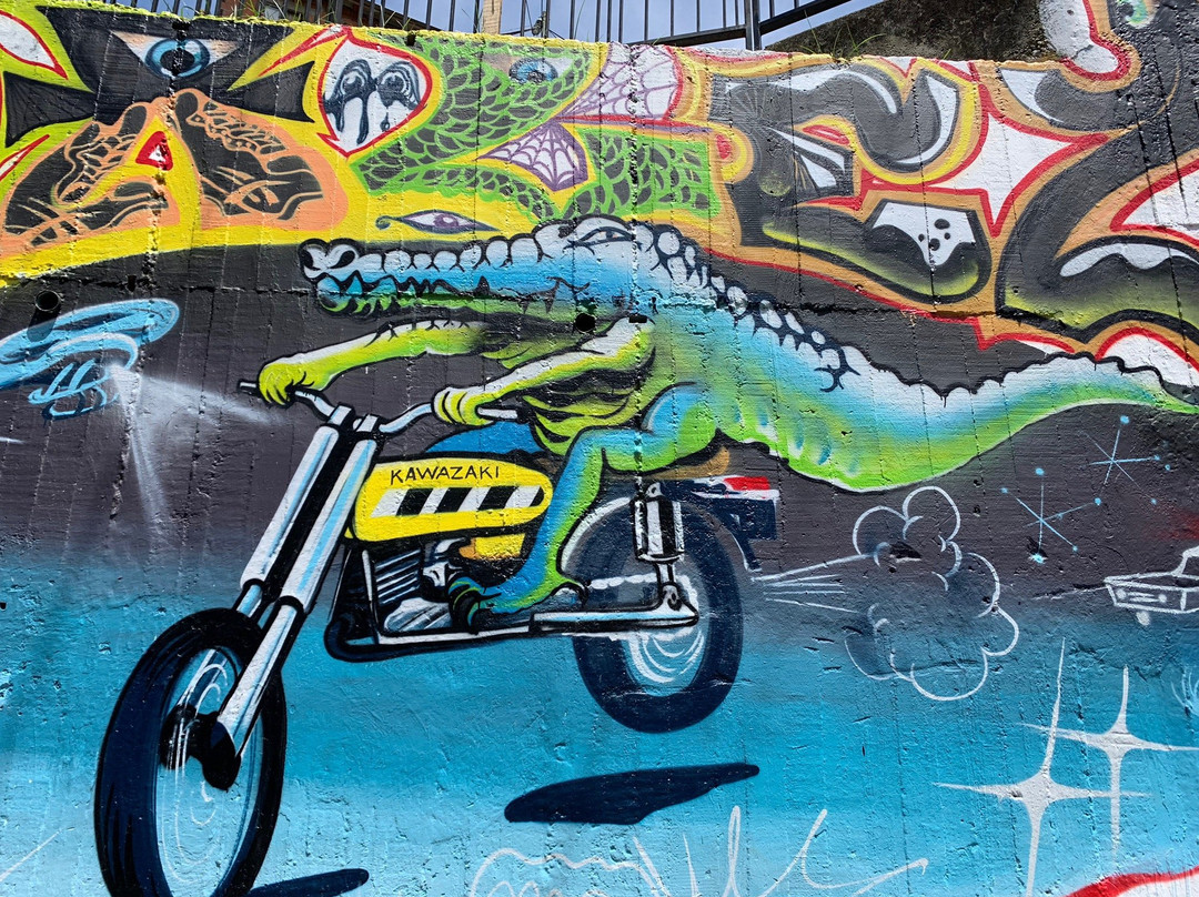 Insiders Foundation-麦德林必去景点