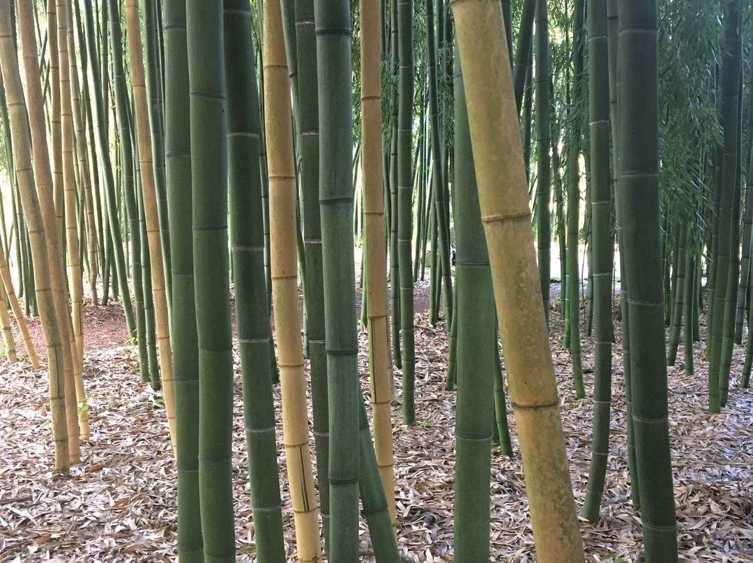 Le Jardin de Planbuisson景点图片