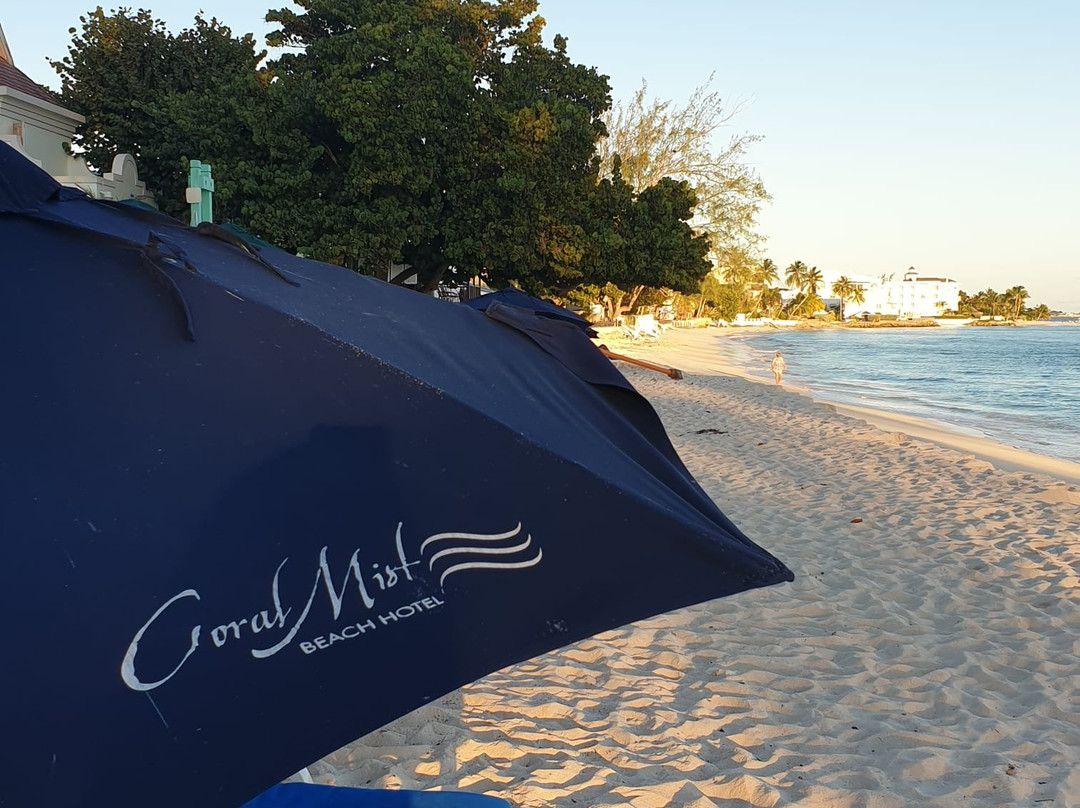 Coral Mist Beach Hotel主图