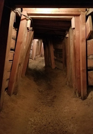 Ponderosa Mine Tour-弗吉尼亚市必去景点