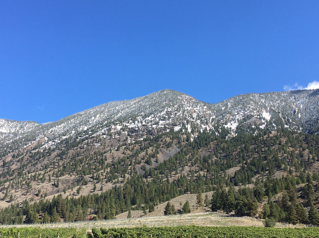 Vanessa Vineyard-Cawston必去景点