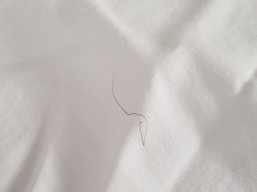 Super 8 by Wyndham Monteagle TN主图