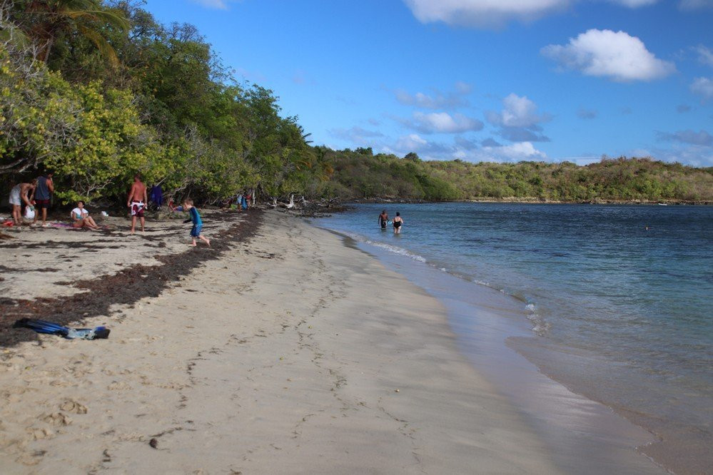 Pointe Borgnese-Le Marin必去景点