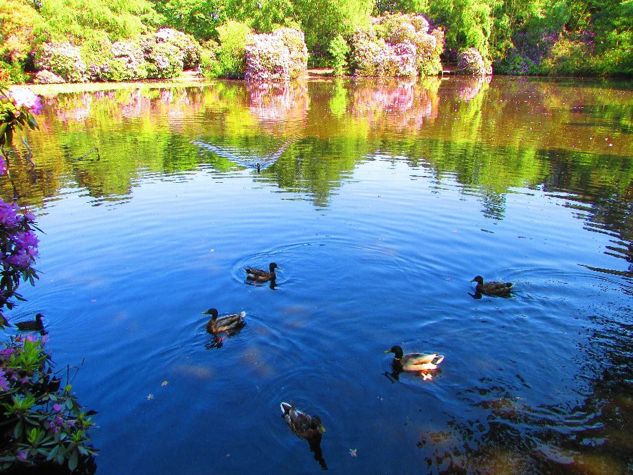 Royden Park-Frankby必去景点