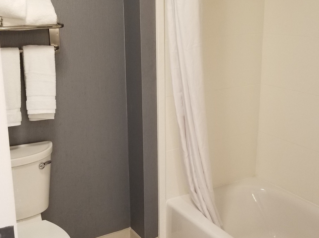 Homewood Suites by Hilton Clifton Park主图