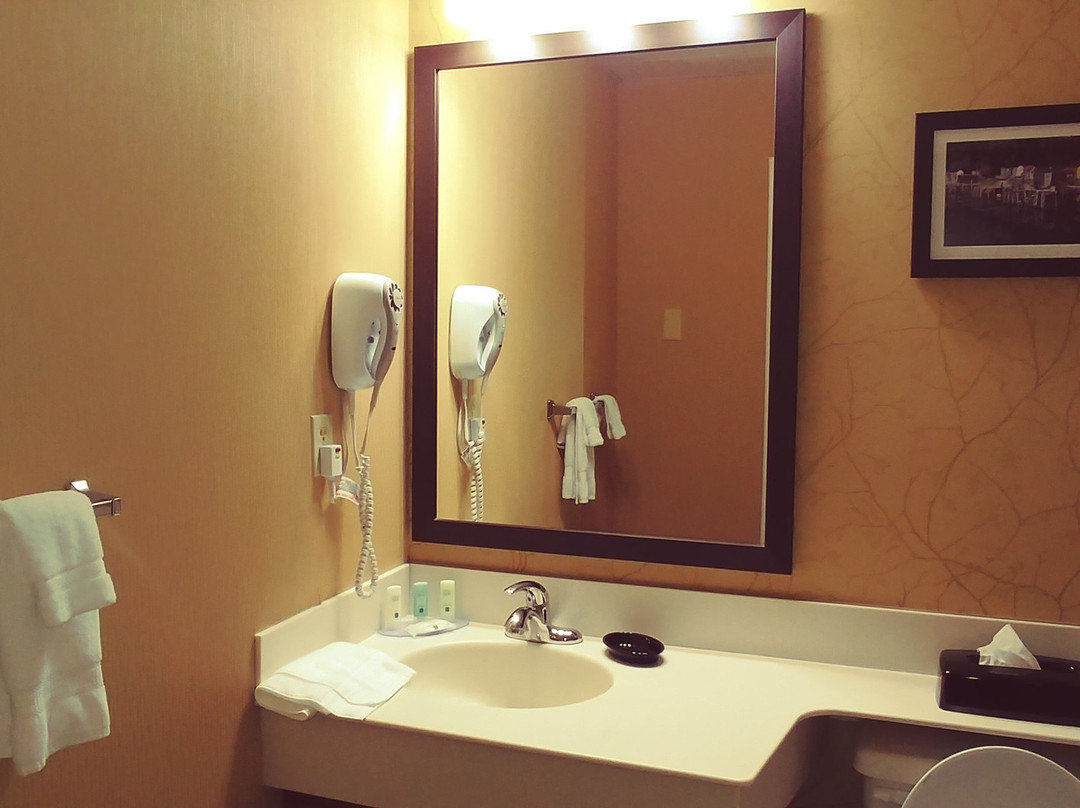 Quality Hotel & Suites主图