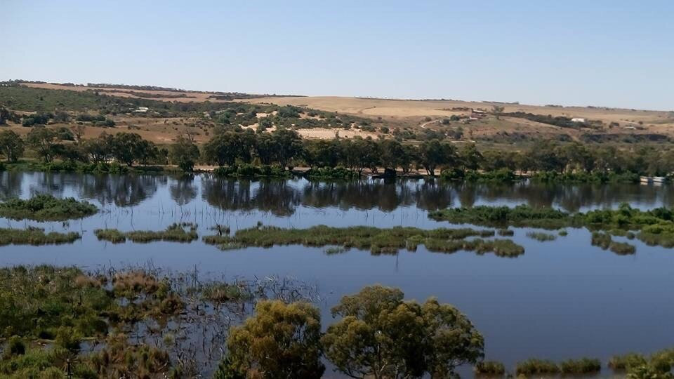 Mannum Lookout景点图片