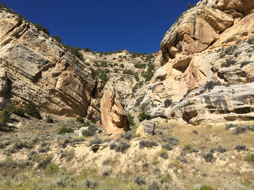 Sheep Creek Geological Loop景点图片