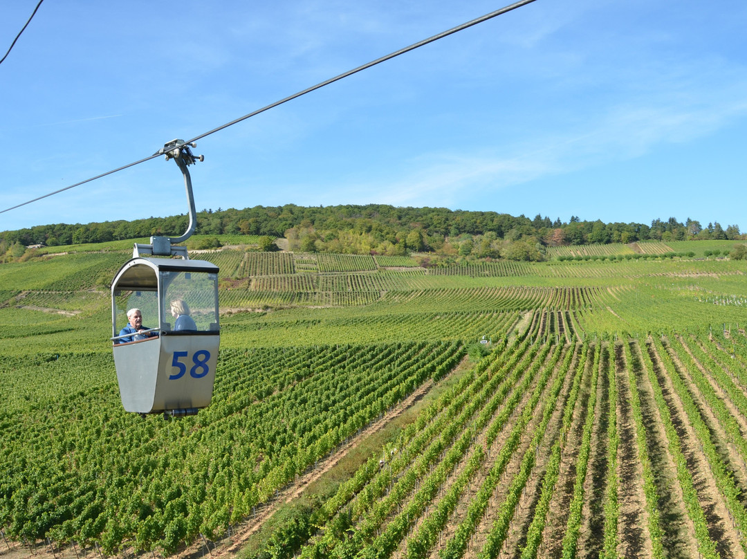 Seilbahn Rudesheim景点图片