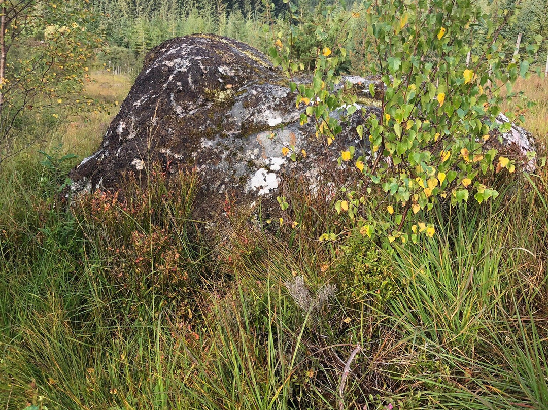 Ben Wyvis National Nature Reserve景点图片