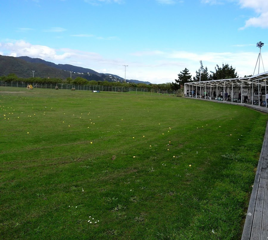 Golf Warehouse Driving Range - Lower Hutt景点图片