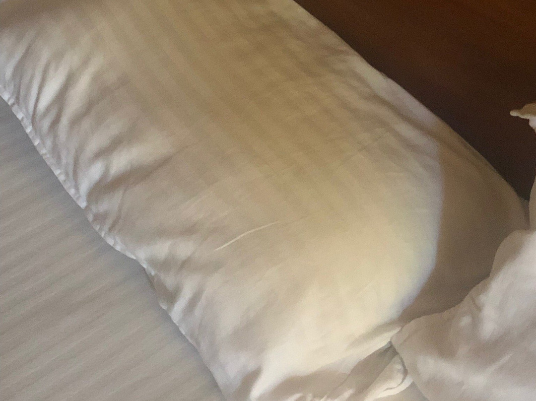 嘉西诺别墅酒店主图