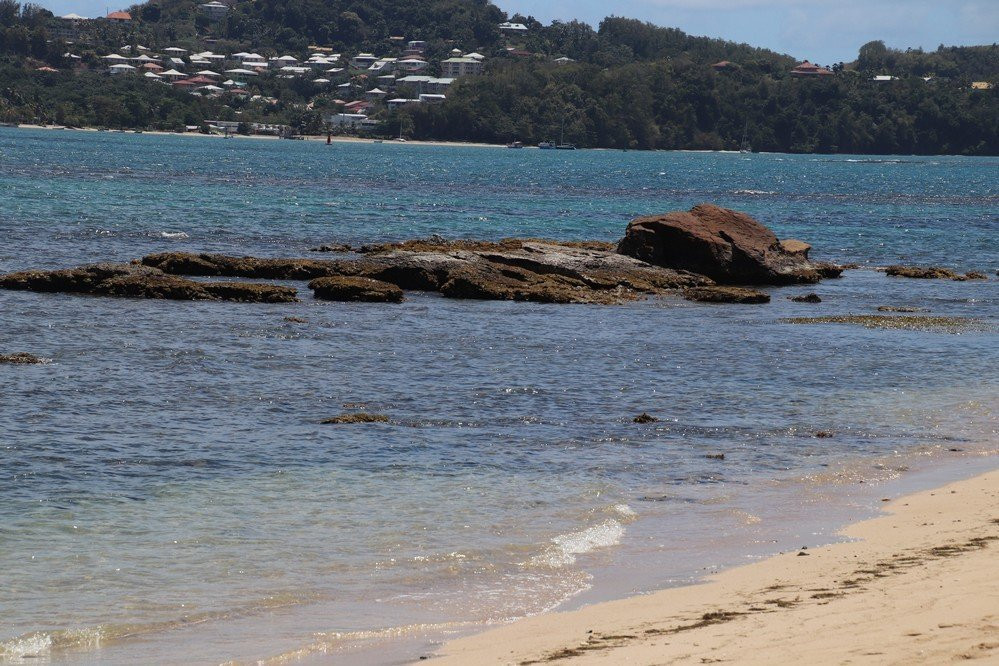 Plage de Cosmy景点图片