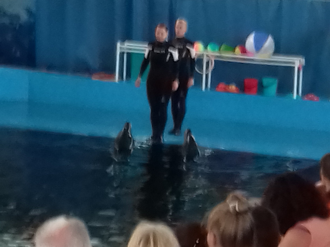 Karadag Dolphinarium-Kurortne必去景点