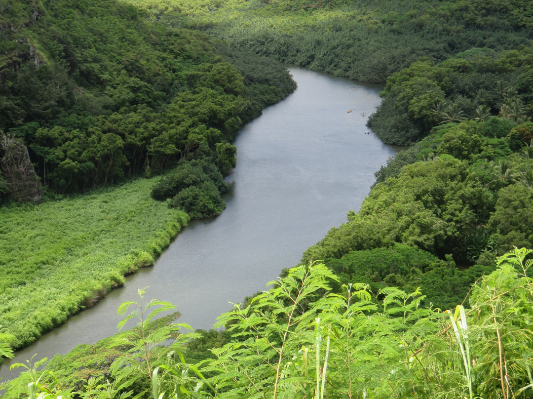威鲁亚河州立公园-Wailua必去景点
