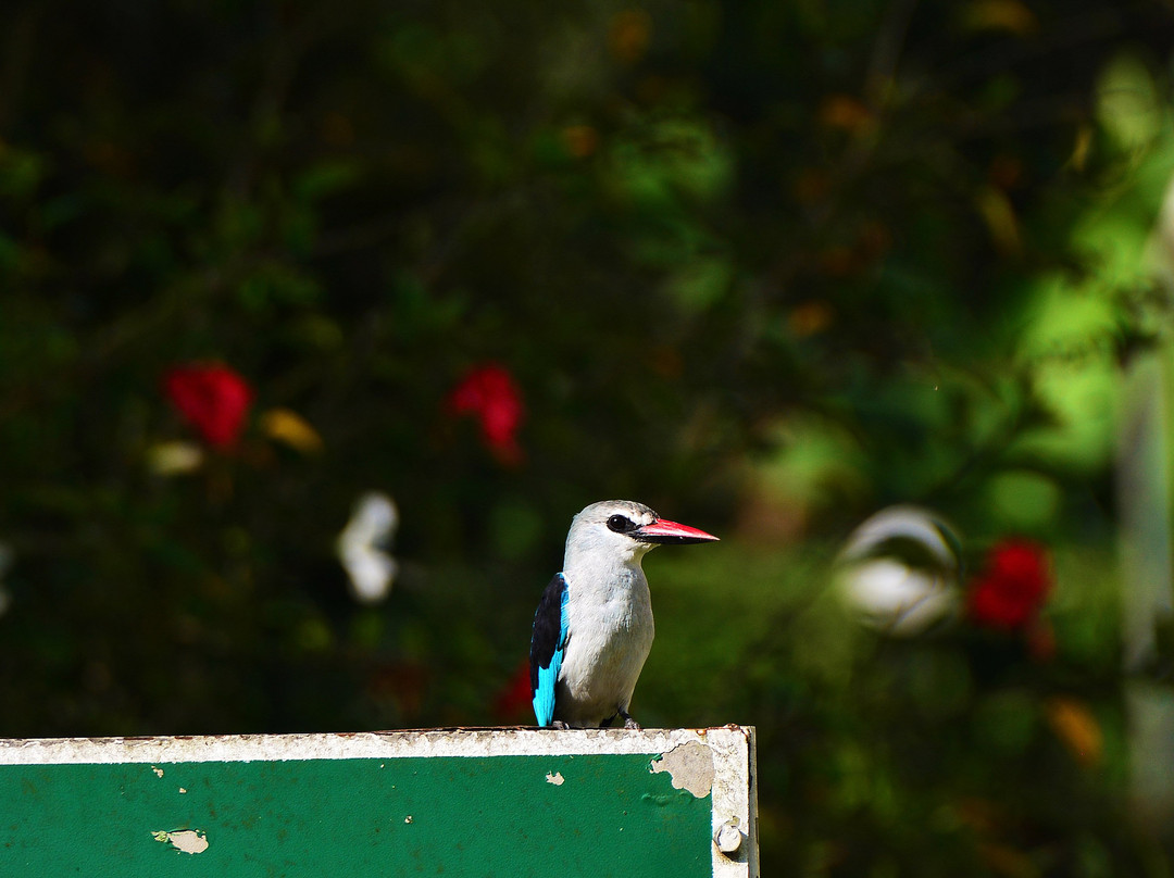 莱考湖维多利亚酒店主图