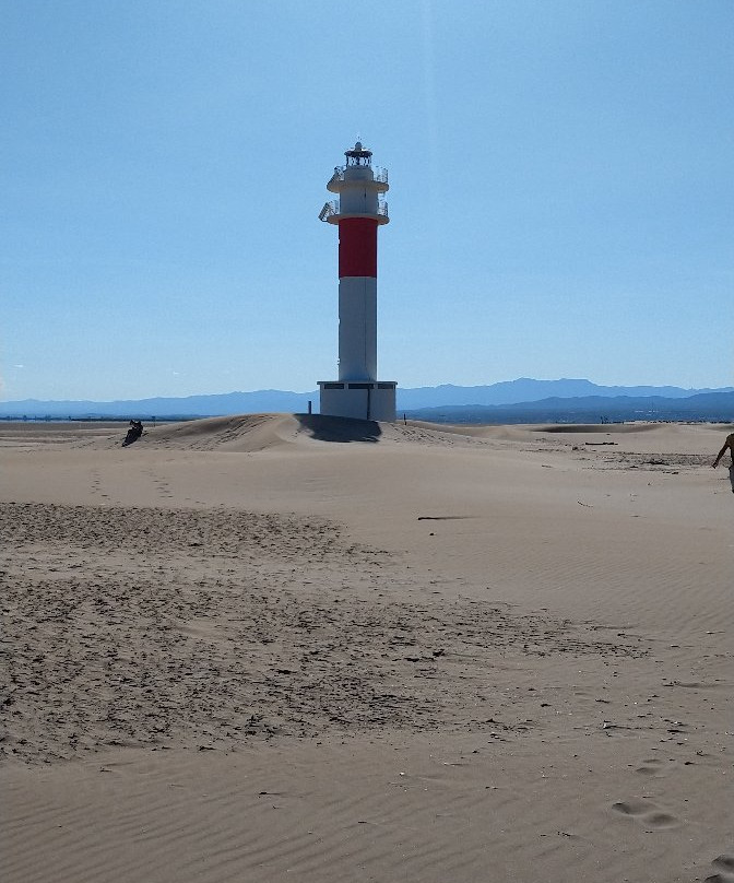 Playa La Punta del Fangar景点图片