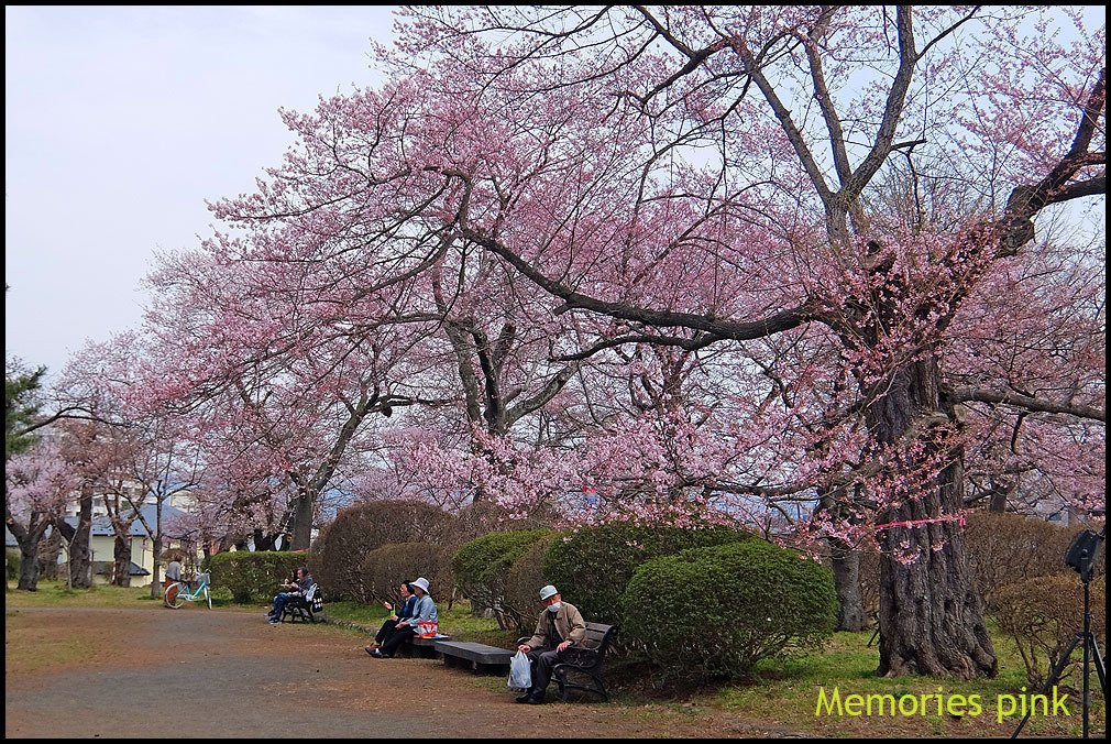 Mizusawa Park-奥州市必去景点