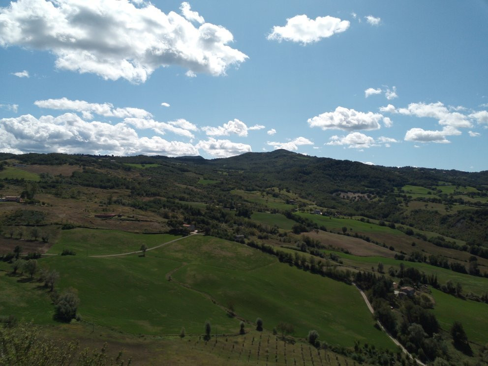 Parco Belvedere - Punto Panoramico景点图片