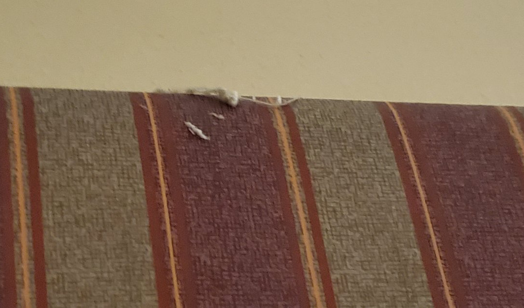 Comfort Suites Milwaukee Airport主图