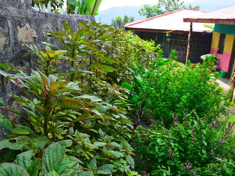 Lasta Garden Retreat-拉利贝拉必去景点