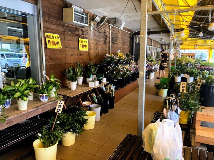 Rest Park Ino-伊野町必去景点