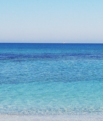 Agriturismo S'Anea主图