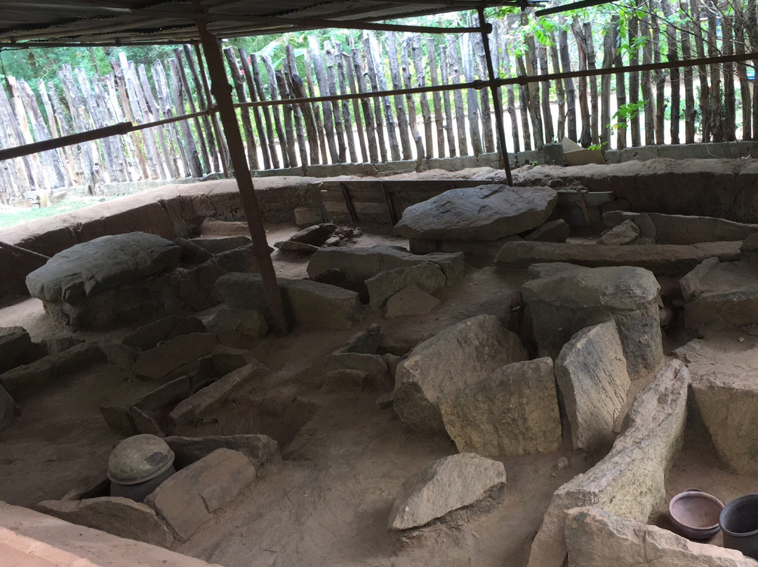 Ibbankatuwa Megalithic Tombs景点图片