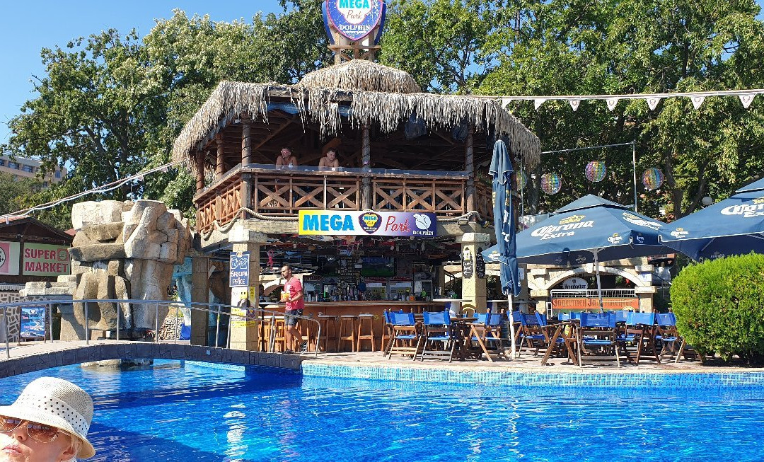 Megapark Dolphin景点图片