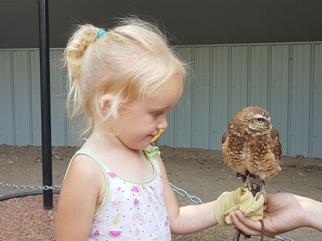 Alberta Birds of Prey Visitor's Centre-Coaldale必去景点