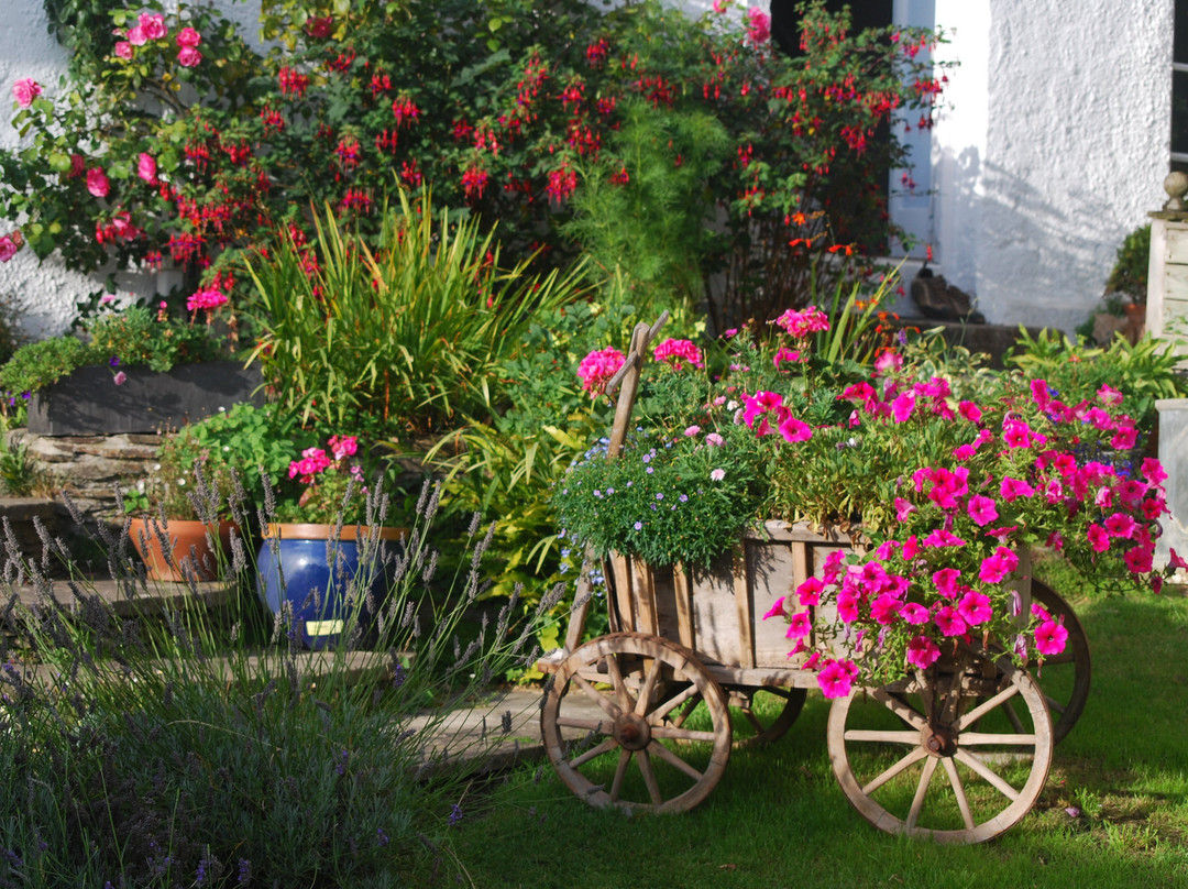 Silver Cottage主图