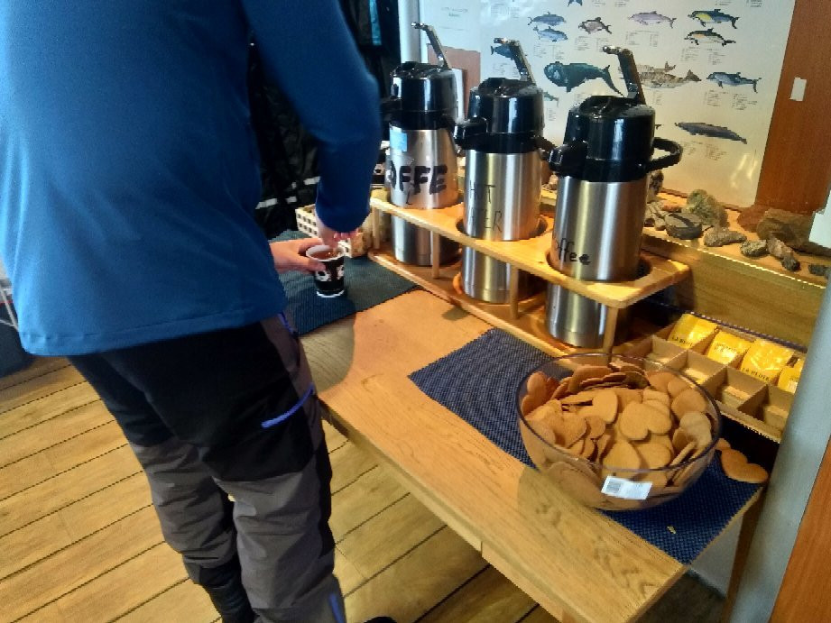 Arctic Explore-朗伊尔城必去景点