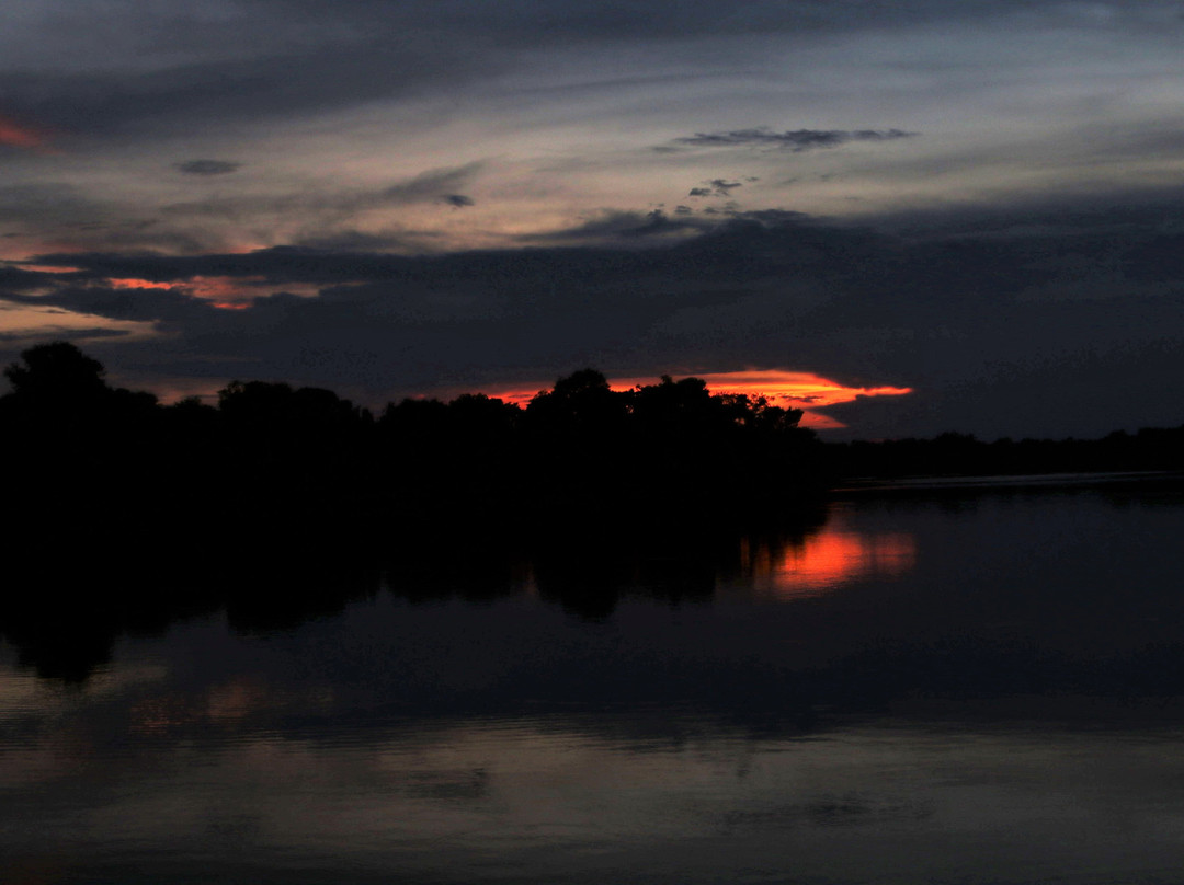 Armand Bayou Nature Center景点图片