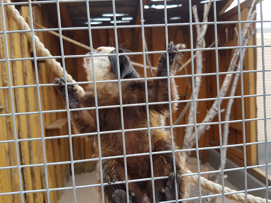 Erlebnispark Memleben-Memleben必去景点