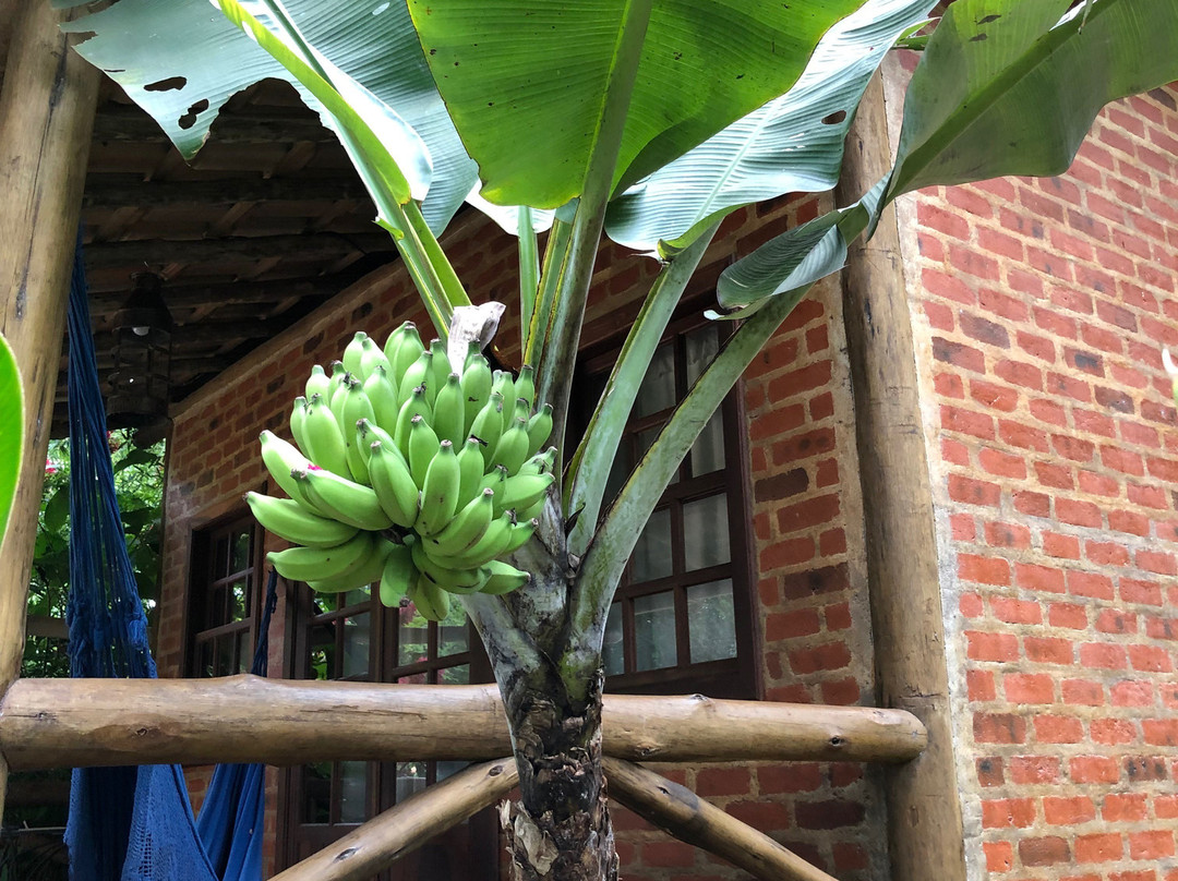 Pousada Vila Serrano主图