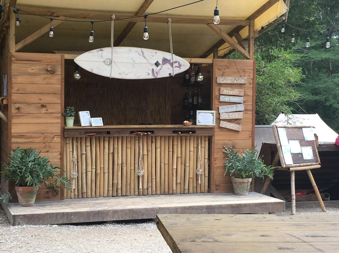 Dreamsea Surf Camp