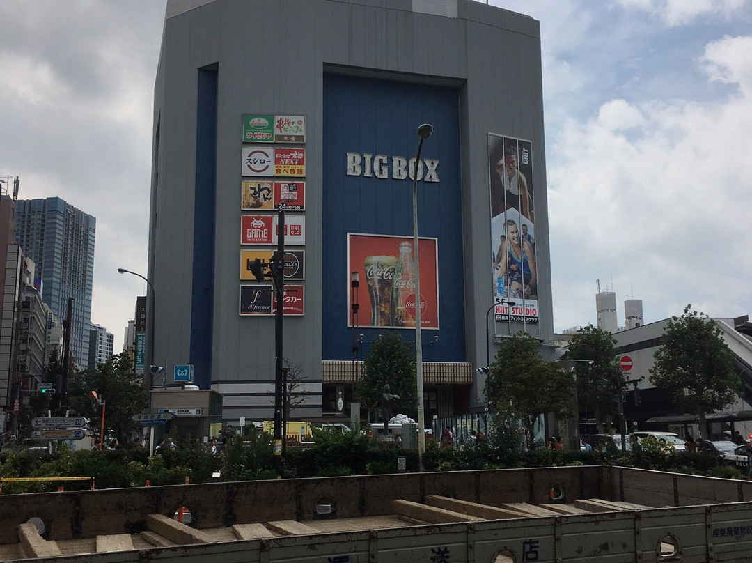 Big Box Takadanobaba-Takadanobaba必去景点