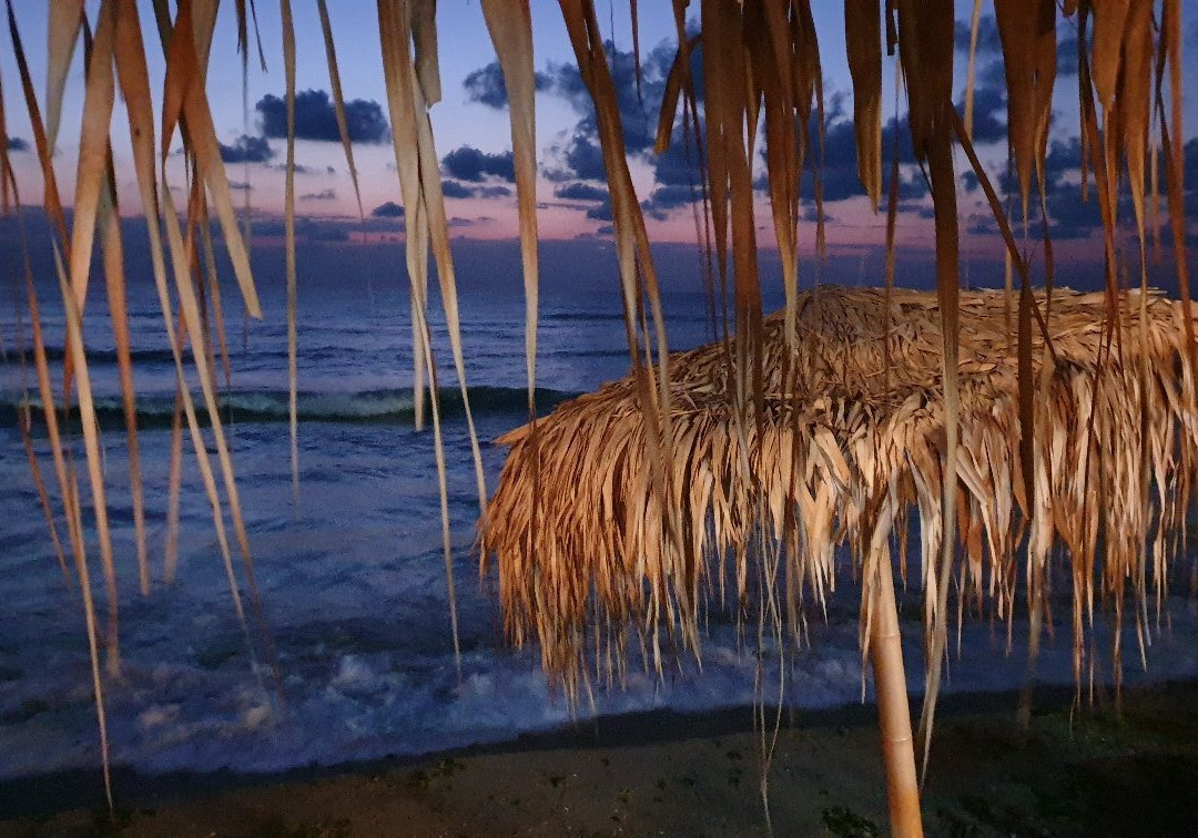 Yuva Beach bar-Vama Veche必去景点