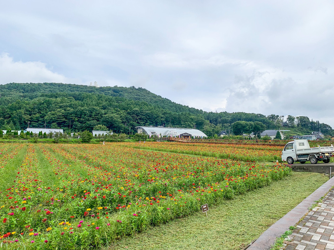 Hanano Miyako Park Furara景点图片