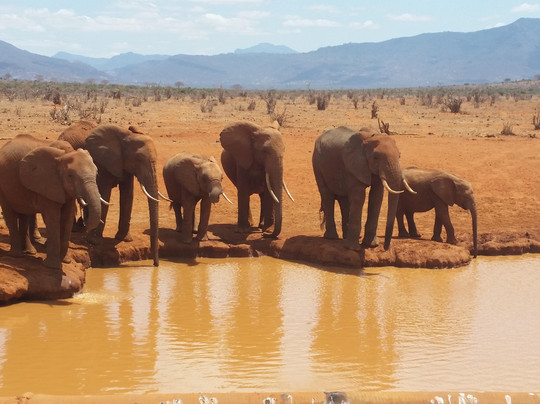 ANTONIO SAFARI KENYA-瓦塔木必去景点