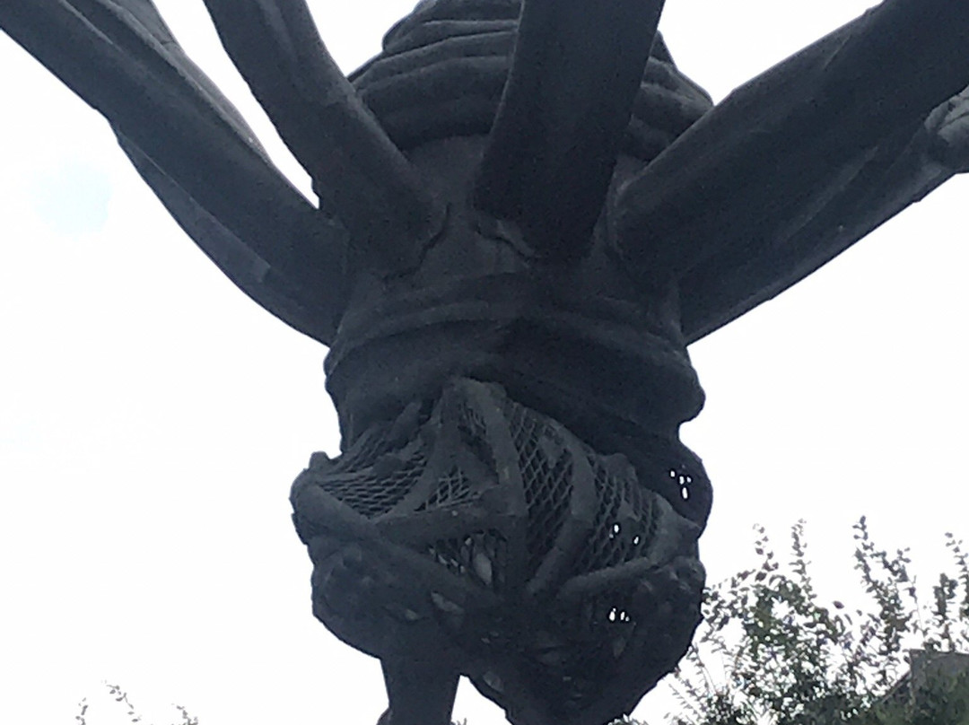 Maman Spider Sculpture-Roppongi必去景点