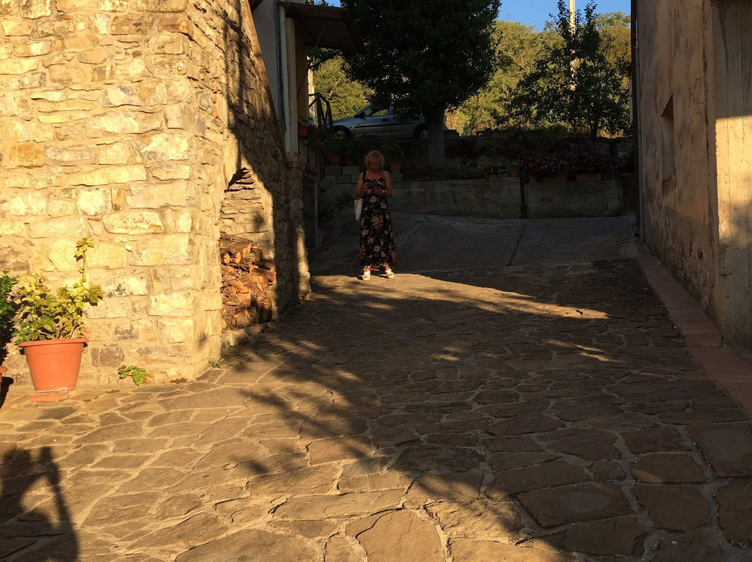Agriturismo L'Antico Casolare主图