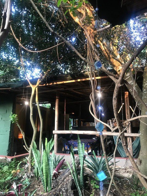 Gala Gala Eco Resort主图