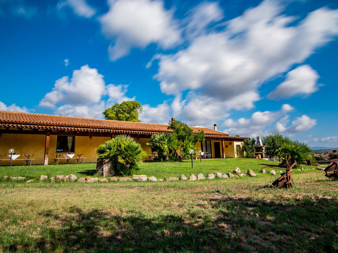 Perfugas餐馆和美食-Agriturismo Carrucana