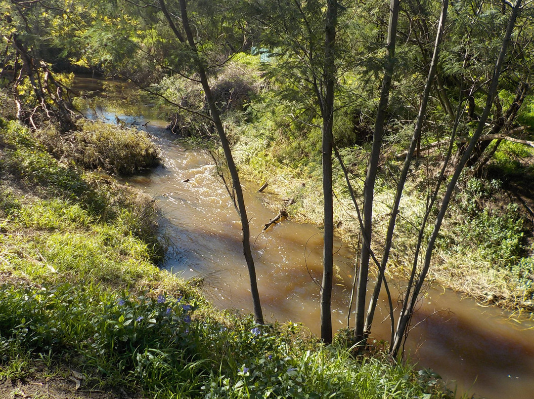 Akoonah Park-伯威克必去景点