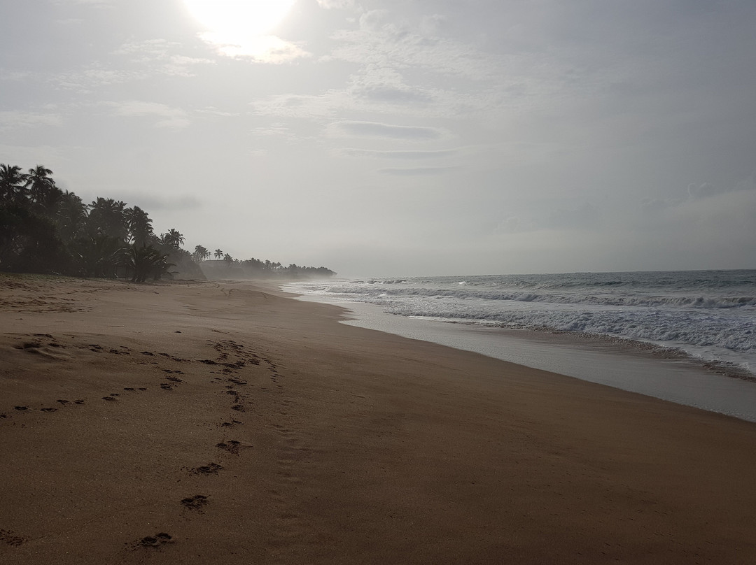 Mandala Villas主图